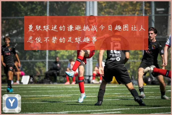 曼联球迷的谦逊挑战今日趣图让人忍俊不禁的足球趣事